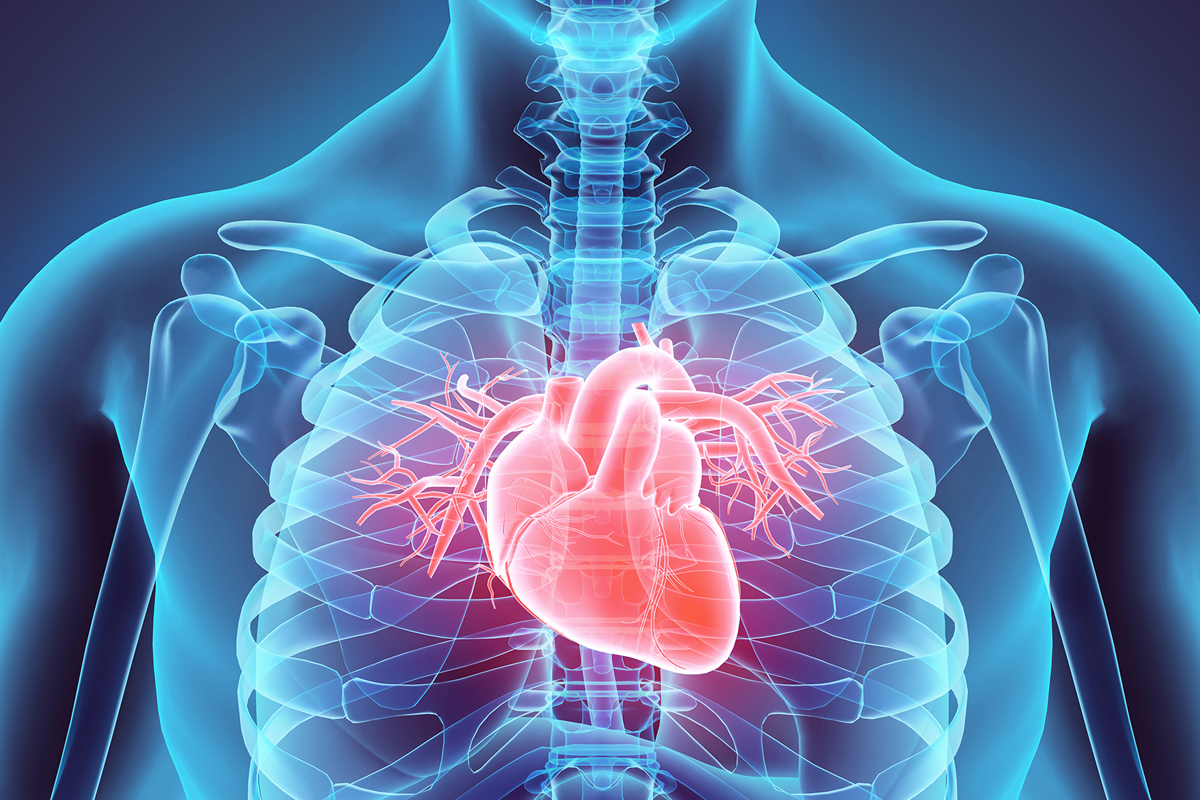 Coronary Heart Specialist in Pune