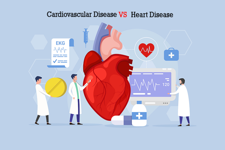 Cardiovascular Disease & Heart Disease Treatments